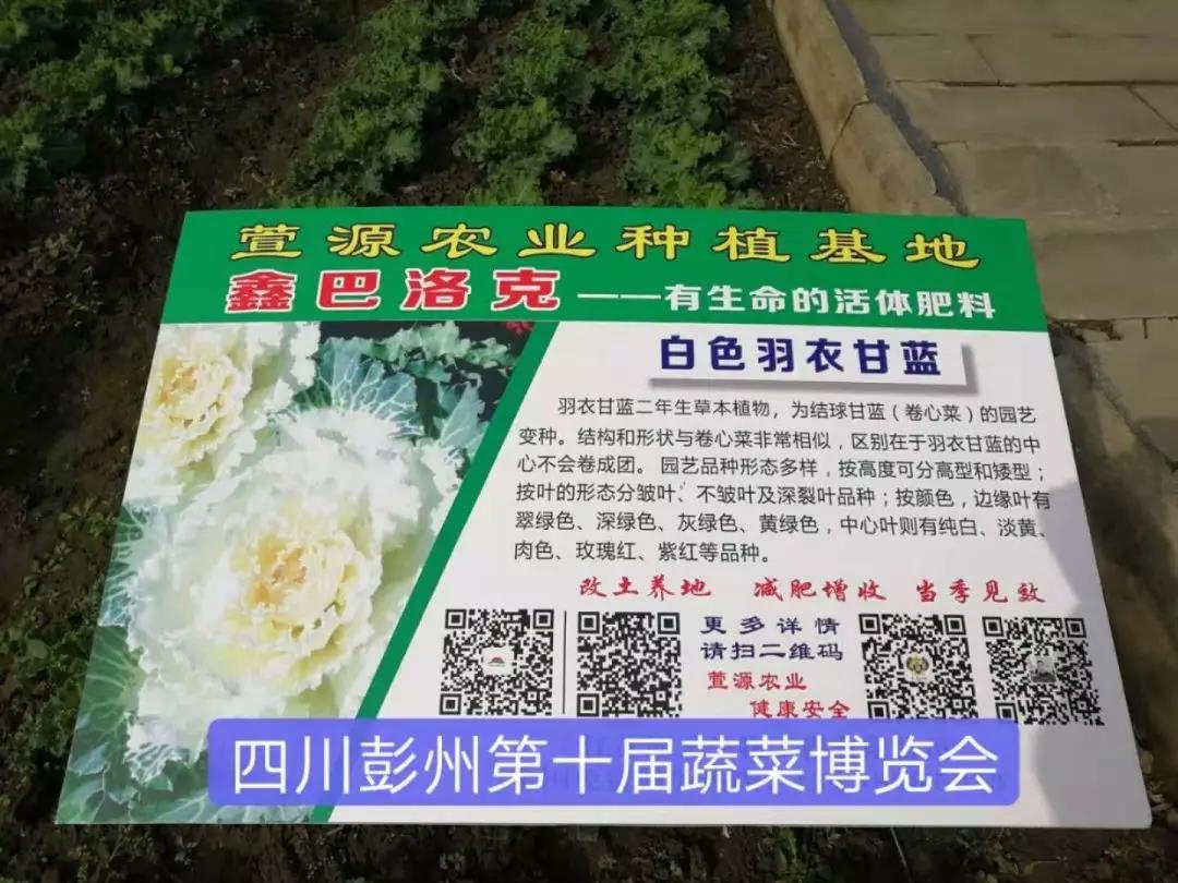 微信图片_20210523193719.jpg