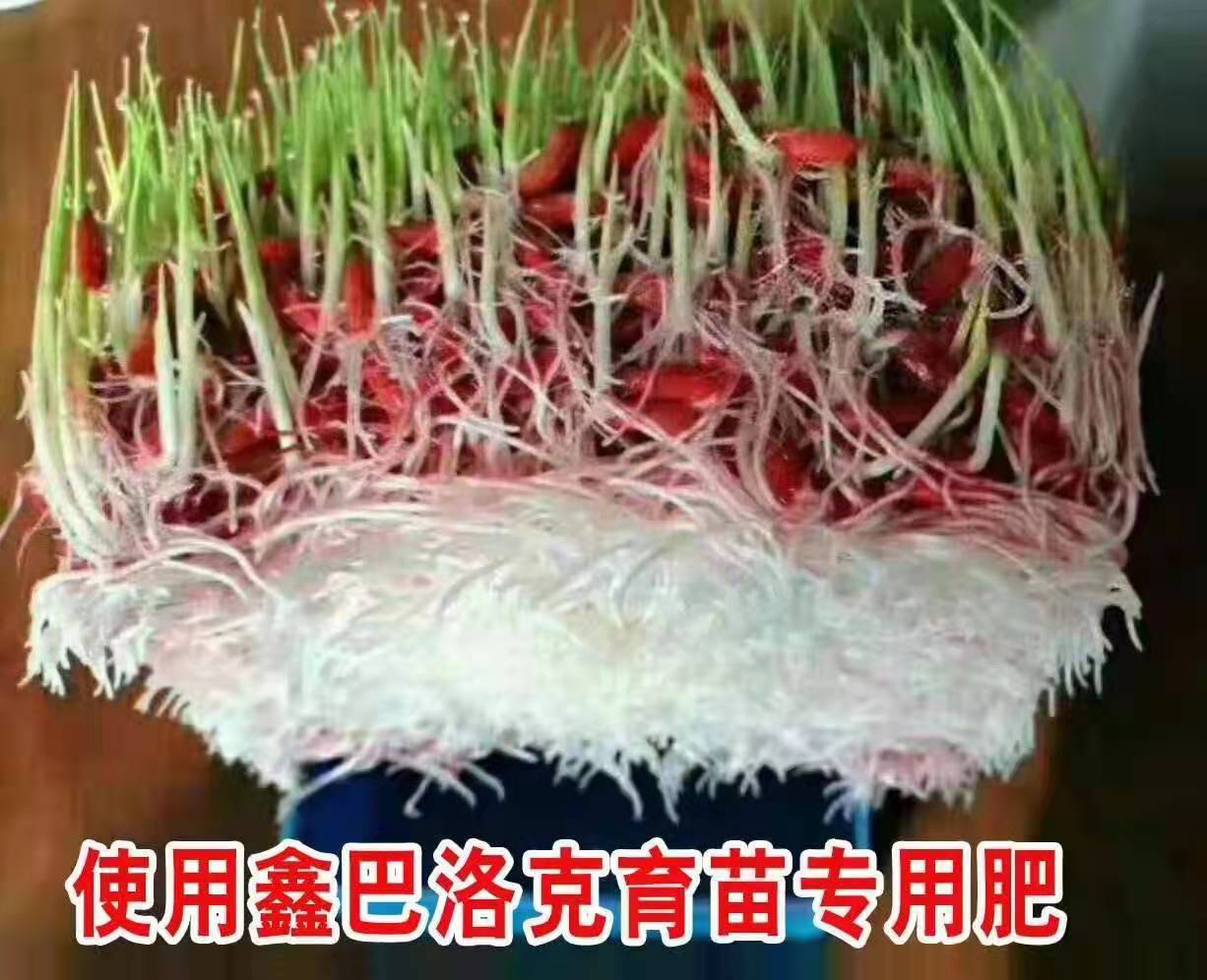 微信图片_20210523195344.jpg