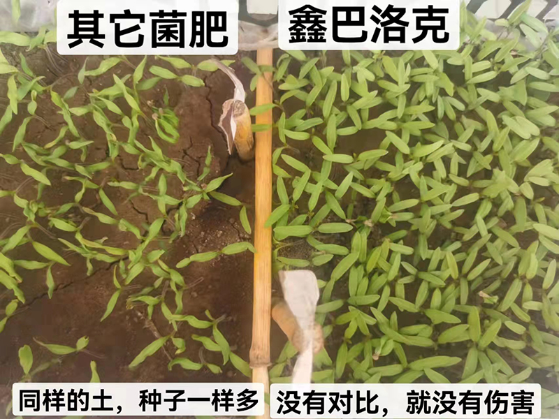 微信图片_20220923210023.jpg